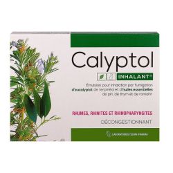 Calyptol Inhalant S Inh 10A/5