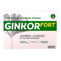 Ginkor Fort Gel B/60