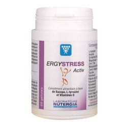 Ergystress Activ Gel B/60 (Ex-Ergystrecyl)