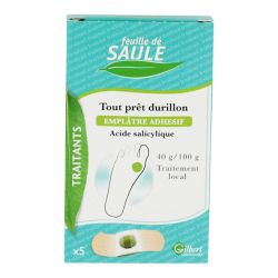 Feuille De Saule Durill B/5