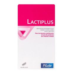 Pileje Lactiplus Gel B/56 Pf 27.5 (Tempo24.49