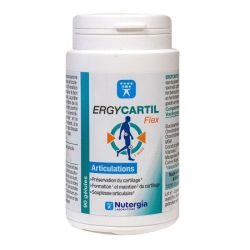 Ergycartil Flex Gel P/90