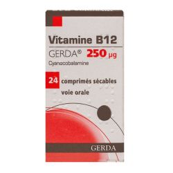 Vit B12 Gerda 250Mcg Cpr E/24