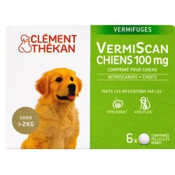 Vermiscan 100Mg Cpr B/6 Ref 0024207