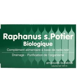 Raphanus S Potier Bio Amp Bt12