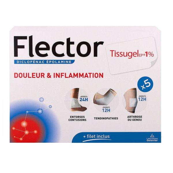 Flector Tissugel 1% Loc B/5Em 0670819853 Gene