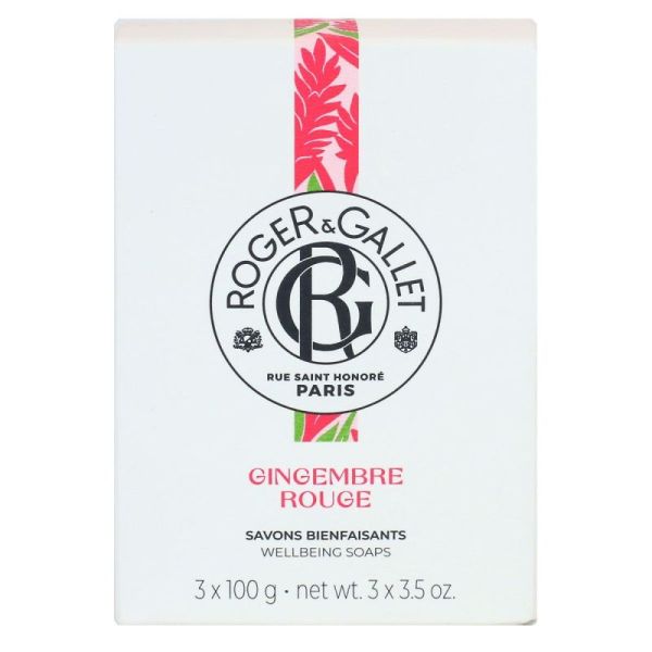 R&G Gingembre Roug Sav Bienfais 3/100G