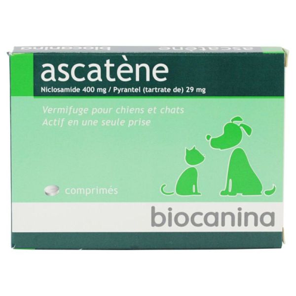 Ascatene Cpr B/10 Chat/Chien>2Kg